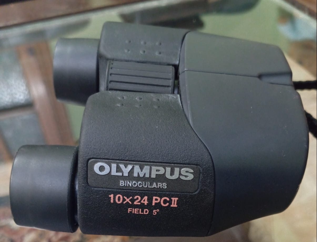Olympus 10x24 Binoculars for Hunting and Birdwatching