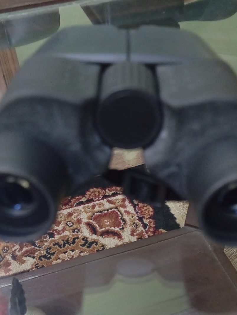 Olympus 10x24 Binoculars for Hunting