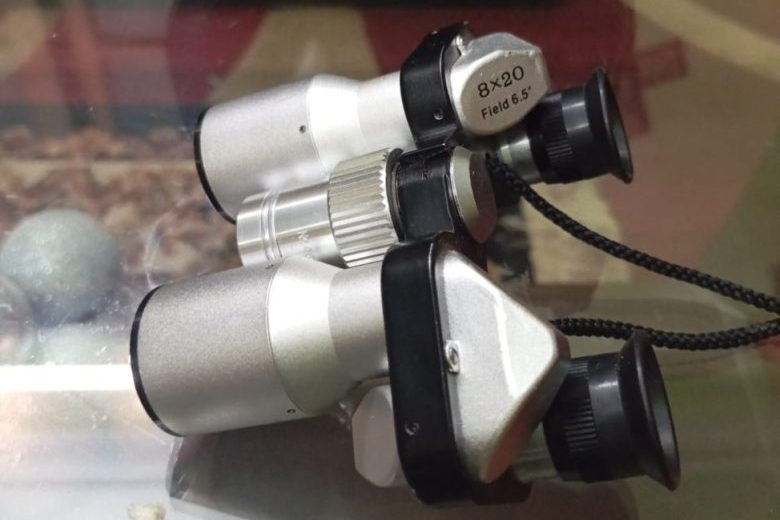 Kenko 10x20 Binocular