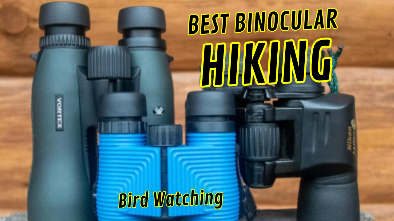 best binocular for hiking and bird watching